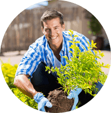 A man is planting a sapling.