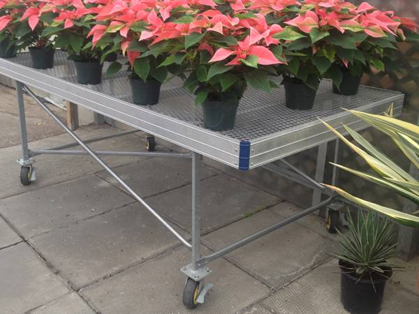 There are many potted anthurium flowers on the expanded metal stationary bench with wheel feet.