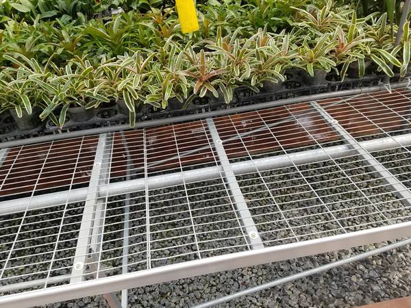 There are many bracketplants on the welded wire mesh stationary benches.